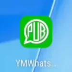 PUB WhatsApp