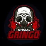 Gringo XP Apk