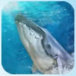 Blue Whale Game Mod Apk