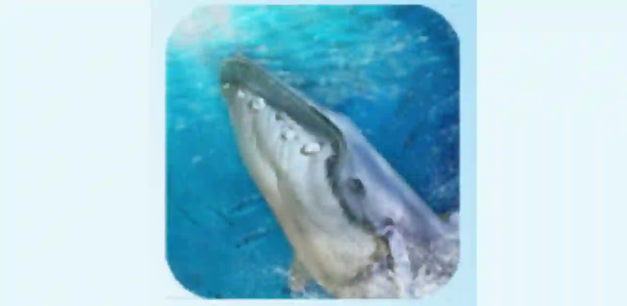 Blue Whale Game Mod Apk