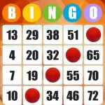 Absolute Bingo Mod Apk