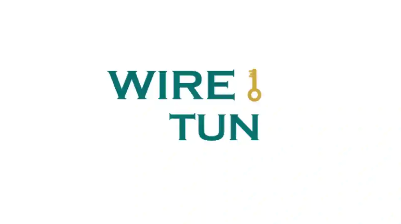 Wire Tun Mod Apk