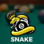 Snake 8 Ball Pool Mod Apk