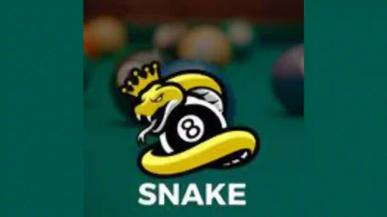 Snake 8 Ball Pool Mod Apk