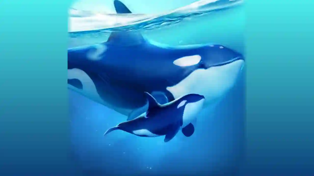 World of Water Apk