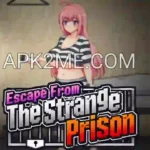 Escape From The Strange Prison Game